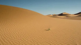 Beautiful Merzouga Sahara Desert 4K