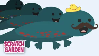 ALL THE KINDS OF SALAMANDERS IN THE WORLD! | Scratch Garden