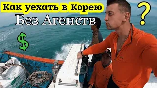 Работа в Южной Корее, Как уехать в Корею без агенства, Путешествуя зарабатываю на жизнь