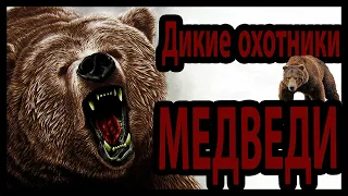 Дикие охотники - Медведи