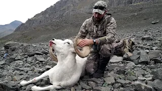 S9:E3 "SURPRISE RAM" Dall Sheep Hunt in Alaska