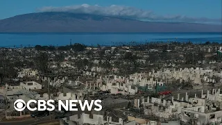 Real estate developers try to capitalize off Maui wildfires