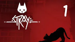 Stray - Внутри стен, Мёртвый город - Прохождение игры на русском [#1] | PC