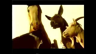 Animal Farm TNT TV Movie Special Preview (1999)