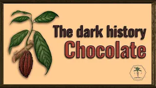 Food of the Gods - the short history of cacao