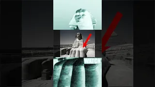 Egypt's Sphinx is a Griffin?  #history #TARTARIA #MUDFLOOD  #oldworld #SPHINX #EGYPT
