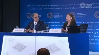 Press Briefing: IMF Middle East and Central Asia Department