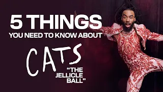 5 Things to Know about CATS: "The Jellicle Ball" | PAC NYC