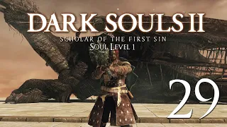 Dark Souls 2: SotFS - Soul Level 1. Archdragon Peak and Memory of Vammar! [Part 29]