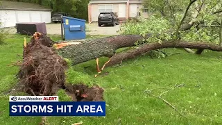 Severe storms with large hail down trees, leave damage in suburbs