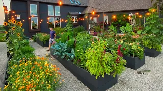 July Garden Tour | Wisconsin Garden