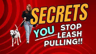 How to Stop Leash Pulling Now! Pro Tips for Success