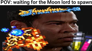 Terraria memes #2