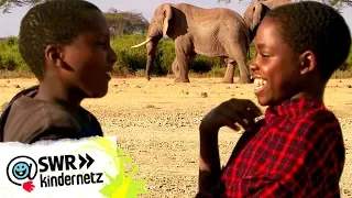 Thomas und Korduni - Bienen retten Elefanten | Schau in meine Welt | SWR Kindernetz