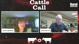 Marketing trying to wrap head around latest bird flu chatter | 5/1/24 Cattle Call