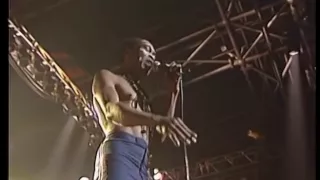 Fela Anikulapo-Kuti and Egypt 80 - Beasts Of No Nation, Live at the Zenith, Paris in 1984