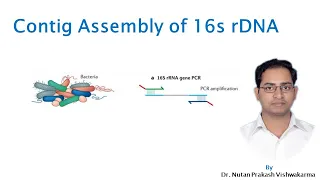 Contig Assembly