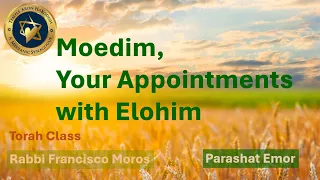 Moedim, Your Appointments with Elohim | Parashat Emor | Rabbi Francisco Moros | taklife.org