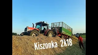 Kiszonka z kukurydzy 2k18 3x New Holland 3x Massey Ferguson Steyer Belarus Class Jaguar...Z pompą!!!