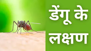 Dengue Fever Symptoms and Diagnosis in Hindi | डेंगू बुखार के लक्षण