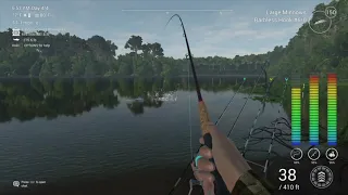 Fishing planet #1 leaderboard biggest FISH