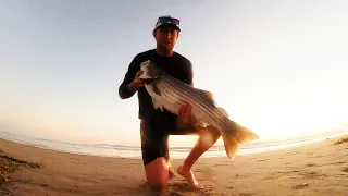 How to Catch BIG Striped Bass Fishing in the Southern California Surf