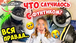 СРОЧНО ЕДЕМ К ВЕТЕРИНАРУ 😭ЧТО СЛУЧИЛОСЬ С ФУНТИКОМ👉ВСЯ ПРАВДА!🥺