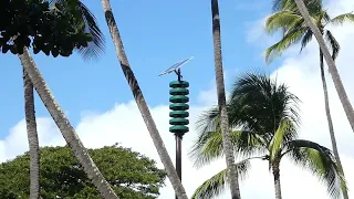 Federal Signal Modulator 6024B | Waikiki, Hawaiʻi