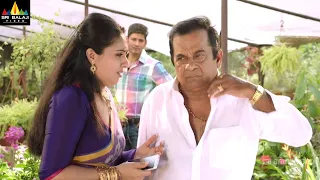 Aagadu Movie Brahmanandam Back to Back Comedy | Vol 1 | Latest Telugu Scenes | Sri Balaji Video