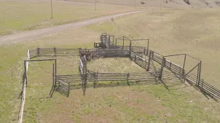 Beef Cattle Handling Facility