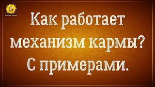 Карма и прошлые жизни. Случайности неслучайны. Как работает механизм кармы? Александр Шемец