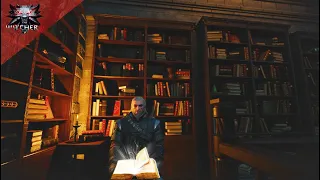 Study with Geralt in Cozy Library in Novigrad Library - Witcher 3 Ambience with Rainstorm Outside