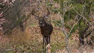 Stare-down with an Iowa Giant | Outreach Outdoors