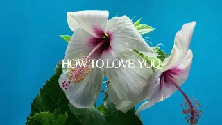 Tuimi - How To Love You (Official Lyric Video)