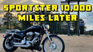 Sportster 1200 Review 10,000 miles later | XL1200C Motovlog