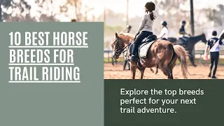 Top 10 Horse Breeds for Trail Riding