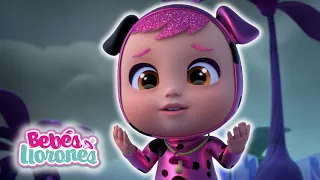 EPISODIOS de COLOR ROSA | BEBÉS LLORONES 💦 LÁGRIMAS MÁGICAS 💕 CAPÍTULOS Completos en Español