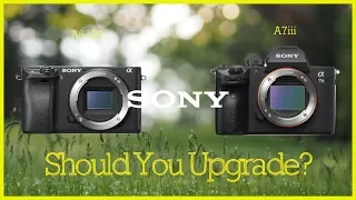 Should You Upgrade From Sony A6300 To A7iii?