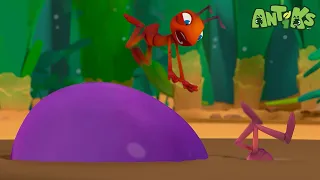 The Only Way is Up! | 🐜 Antiks 🐜 | Funny Cartoons for Kids | Moonbug