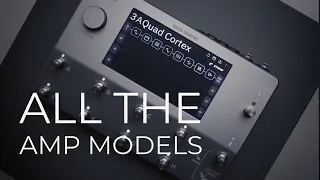 Quad Cortex Amp Models - Run through #quadcortex #guitarist #music