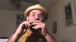 Beginner Blues Harmonica Tongue Blocking