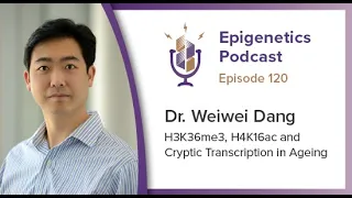 Epigenetics Podcast #120 - H3K36me3, H4K16ac and Cryptic Transcription in Aging with Weiwei Dang