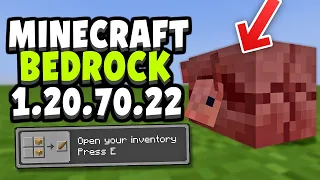 FINAL ARMADILLO CHANGES + 8 YEAR BUG FIXED! in Minecraft Bedrock 1.20.70.22 Beta