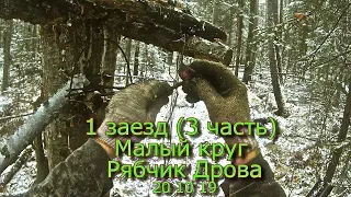 1 заезд (3 часть) Малый круг Рябчик Дрова 20 10 19