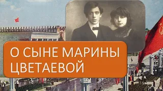 О сыне Марины Цветаевой