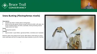 Webinar - Birds and Birdsong Identification