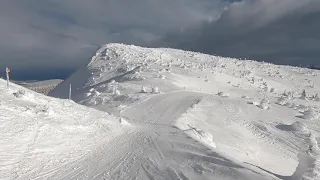 POV:Top of Falcon through Trappers Trees, down to Squirrel Trees