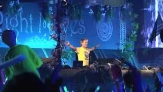 TomorrowWorld 2013 Armin Van Buuren