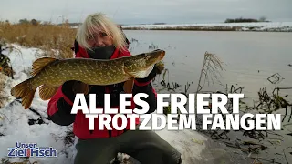 WAS BEISST ALLES BEI EIS & SCHNEE? Flussangeln im Winter! 'Unser Ziel ist Fisch' mit JÖRG OVENS