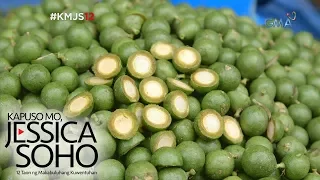 Kapuso Mo, Jessica Soho: Native fruits, only in the Philippines!